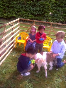 goat and face painting experience