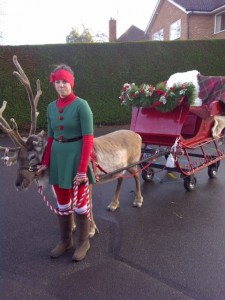 Reindeer & Sleigh