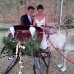 wedding sleigh